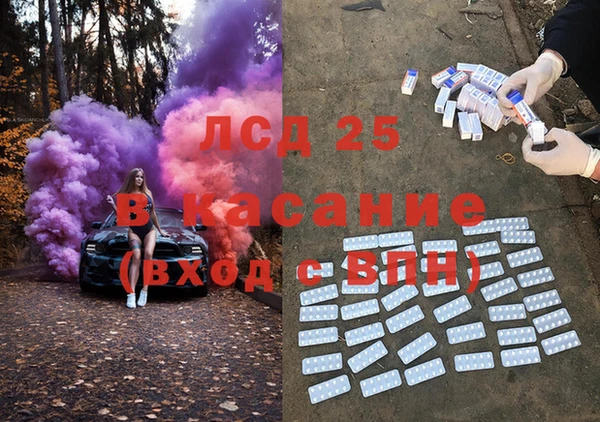 ГАЛЛЮЦИНОГЕННЫЕ ГРИБЫ Абаза