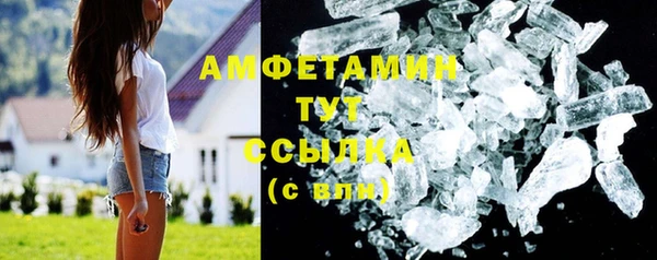 ГАЛЛЮЦИНОГЕННЫЕ ГРИБЫ Абаза